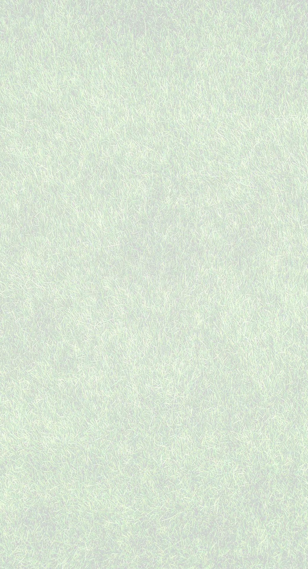 grass